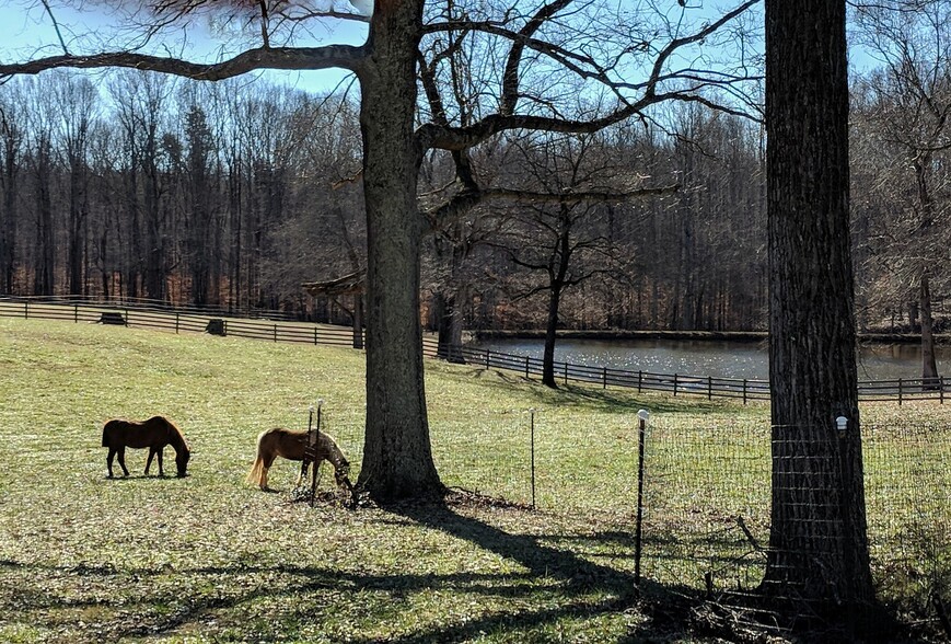 7600 Millbrook Rd, Summerfield, NC en venta - Foto principal - Imagen 2 de 5