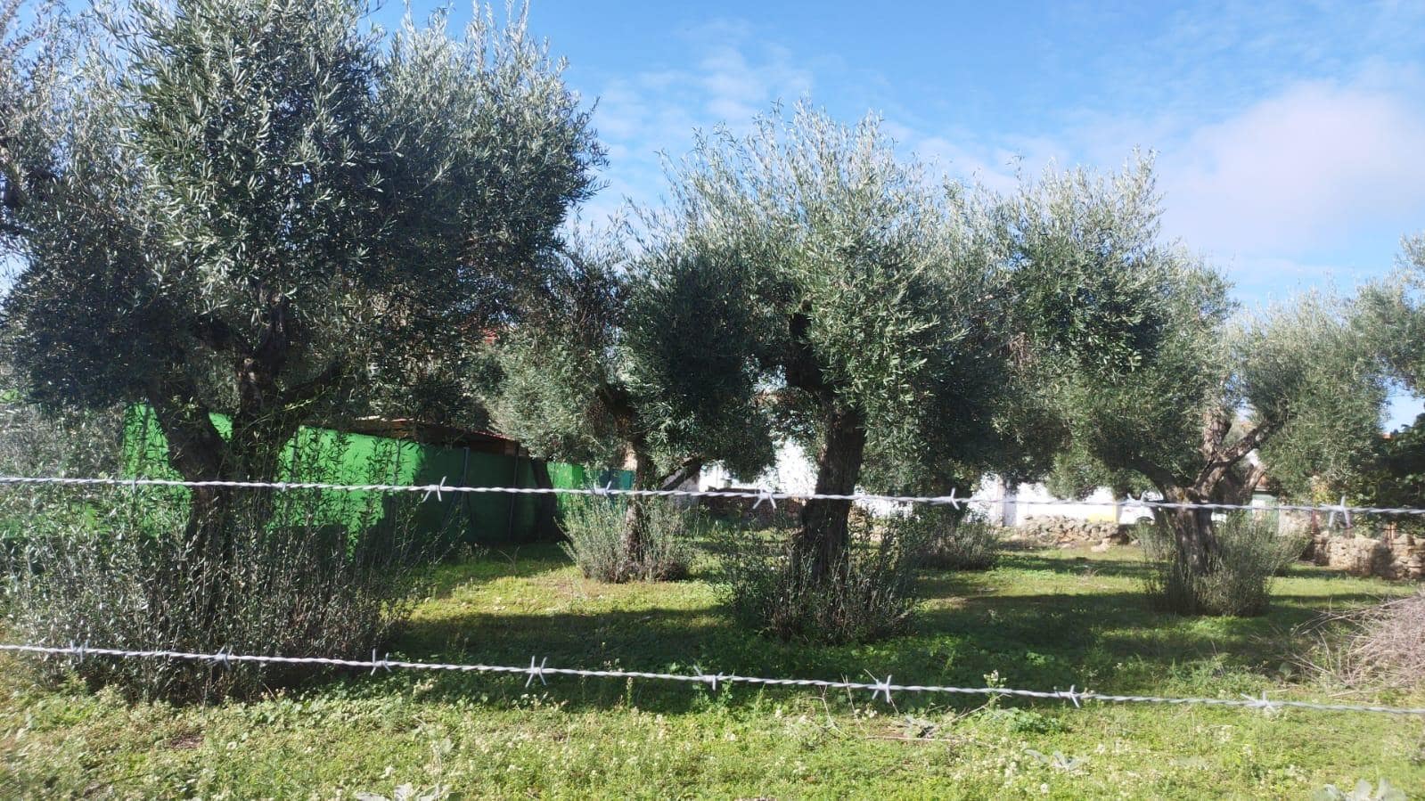 Terreno en Aldea del Cano, Cáceres en venta Foto principal- Imagen 1 de 7