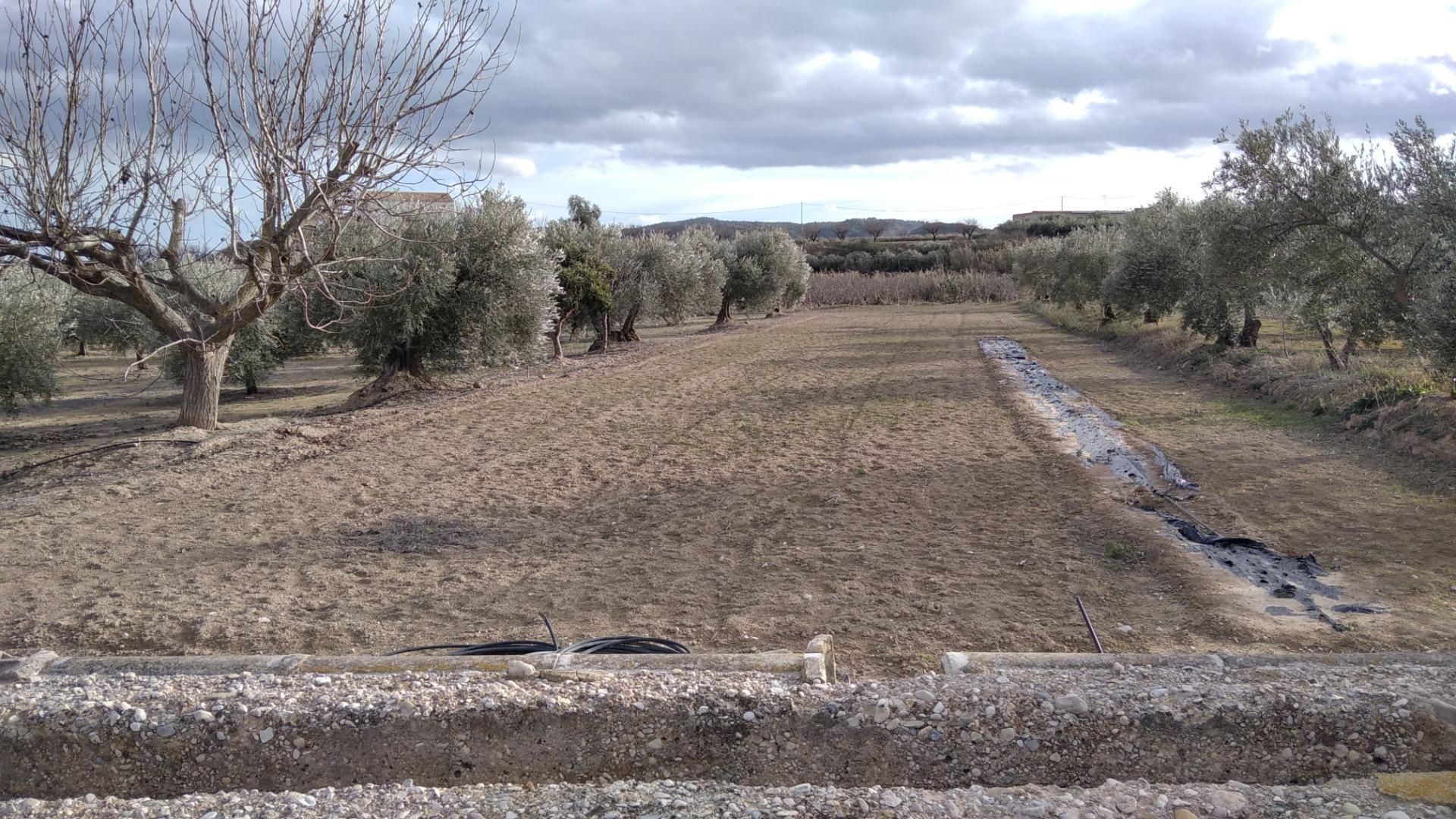 Terreno en Calasparra, Murcia en venta Foto del edificio- Imagen 1 de 27