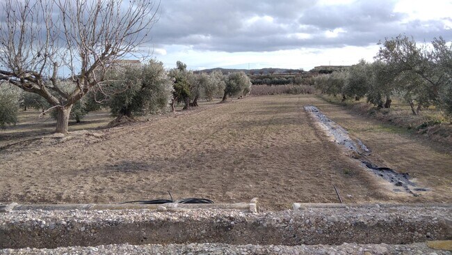 Más detalles de Terreno en venta