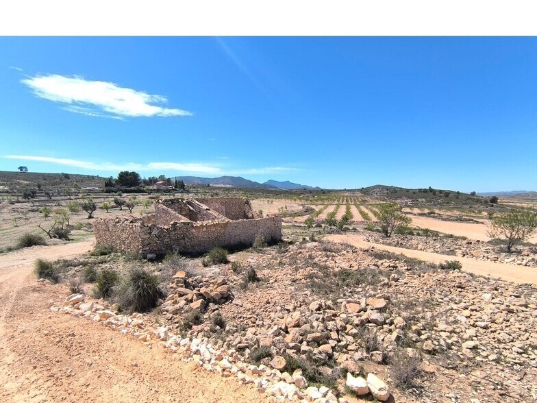Terreno en PINOSO en venta - Foto del edificio - Imagen 1 de 10