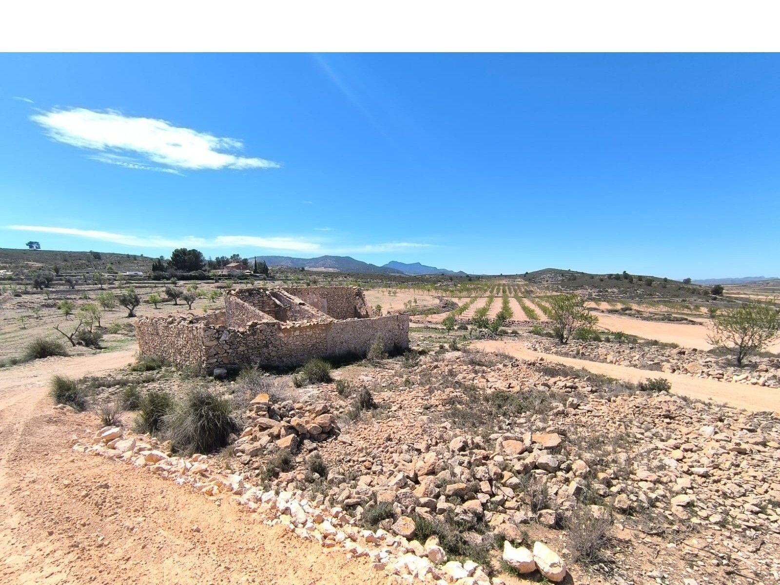 Terreno en PINOSO en venta Foto del edificio- Imagen 1 de 11