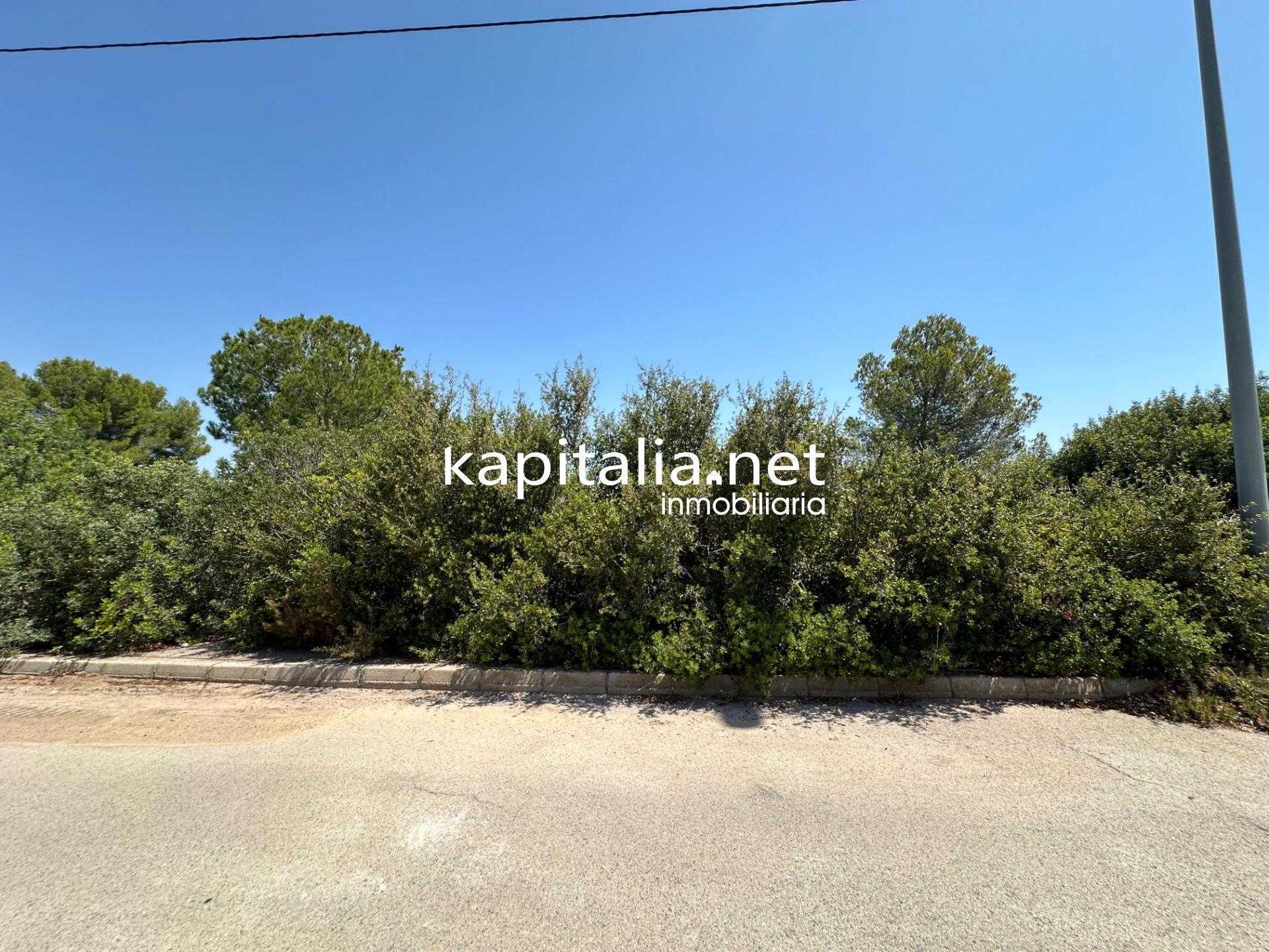 Terreno en Alberic, Valencia en venta Foto principal- Imagen 1 de 5