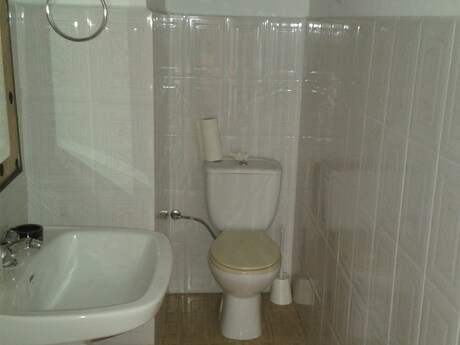 Local en SEVILLA en alquiler - Foto del interior - Imagen 2 de 3