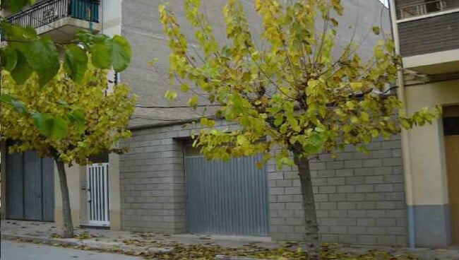 Más detalles de Terreno en venta