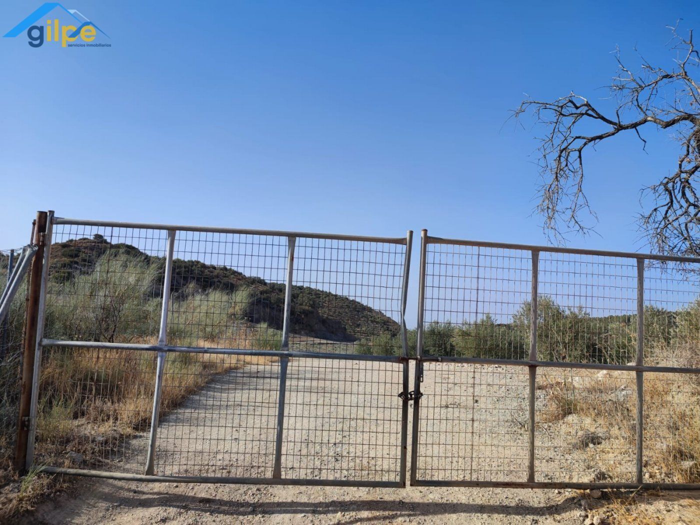 Terreno en Morón de la Frontera, Sevilla en venta Plano del sitio- Imagen 1 de 8