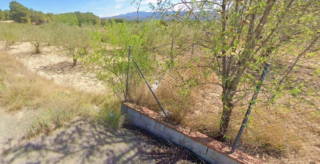 Terreno en Ontinyent, Valencia en venta Plano del sitio- Imagen 1 de 3