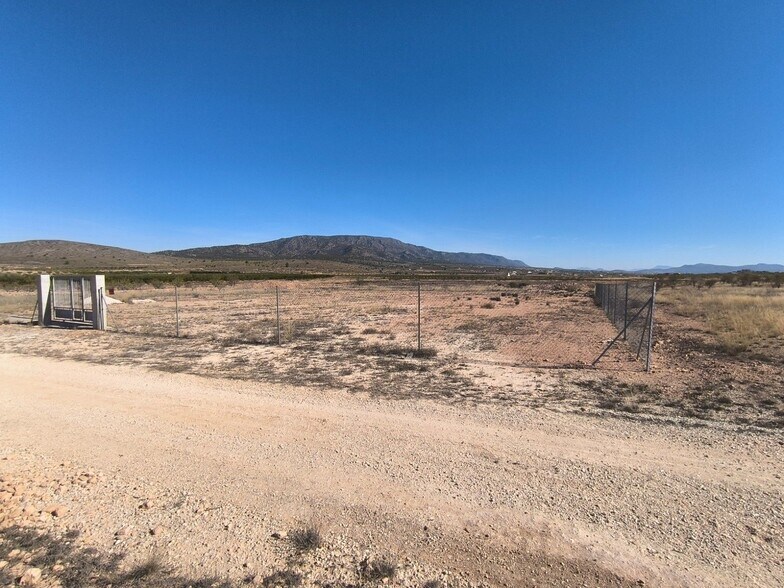 Terreno en PINOSO en venta - Foto del edificio - Imagen 1 de 8