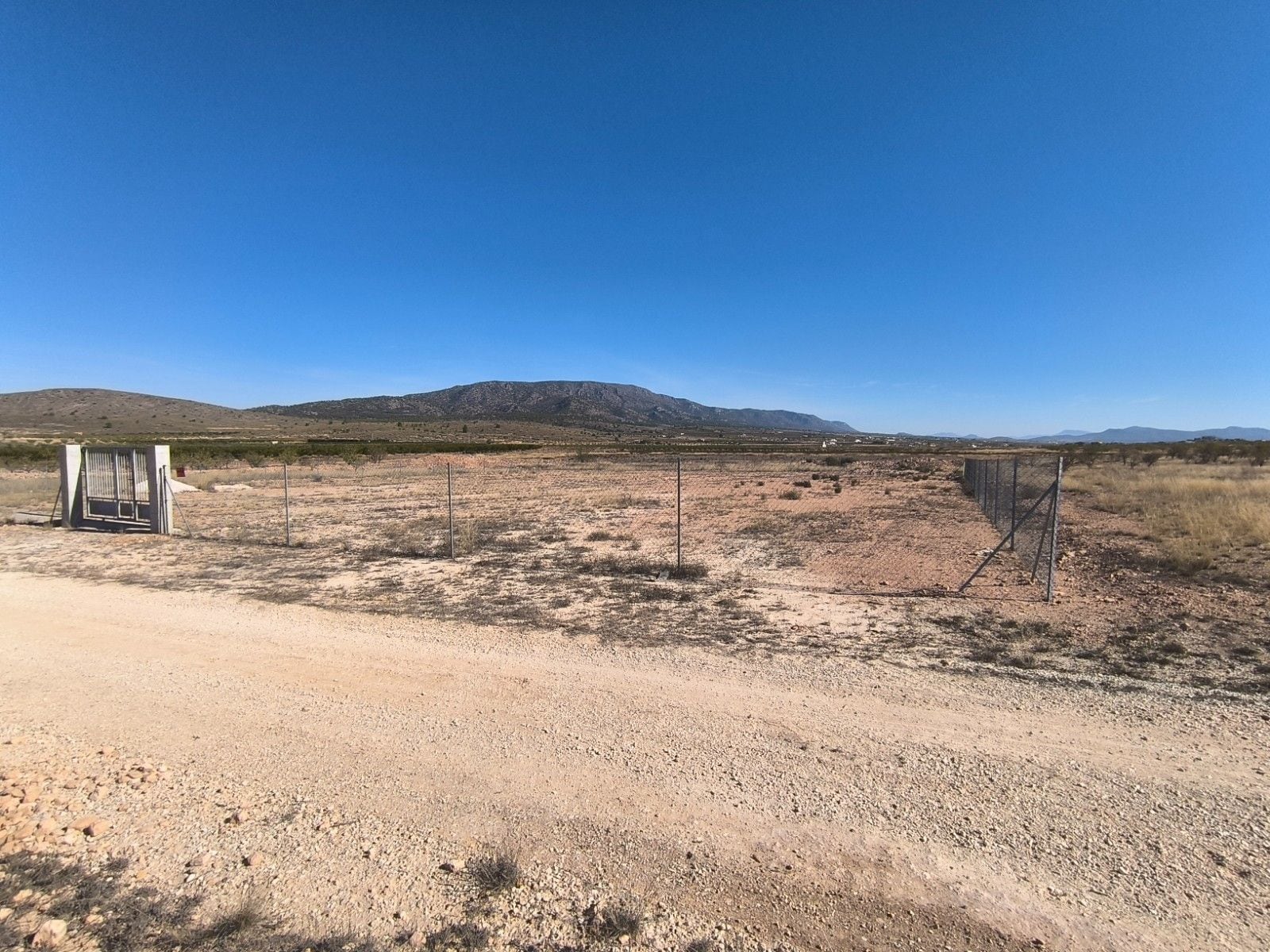 Terreno en PINOSO, Alicante en venta Foto principal- Imagen 1 de 9