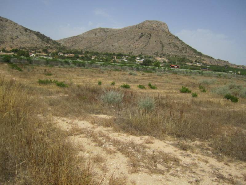 Terreno en Aspe, Alicante en venta Vista aérea- Imagen 1 de 6