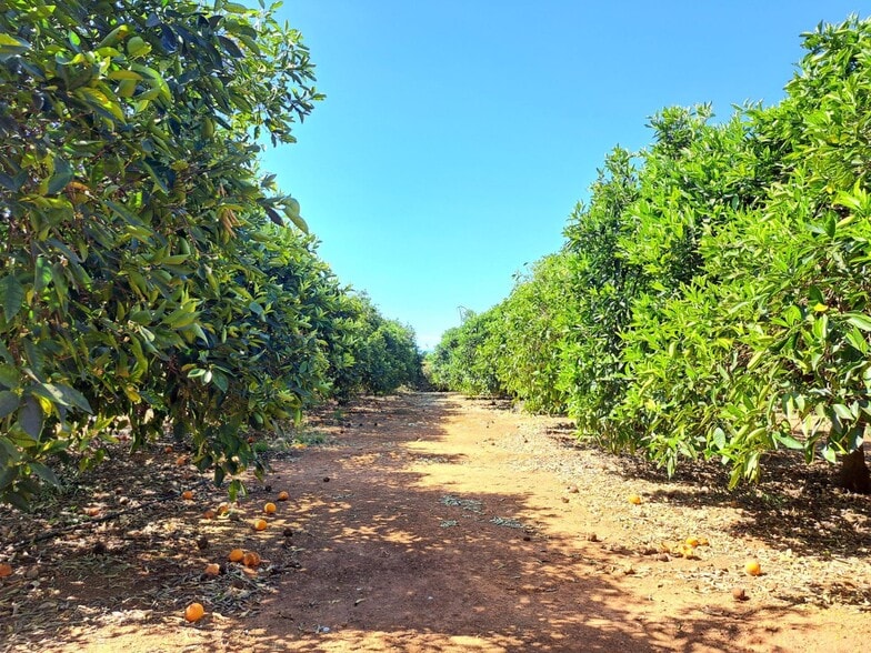 Terreno en Carcaixent en venta - Foto del edificio - Imagen 2 de 5