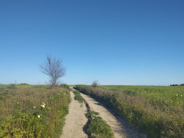Terreno en Almonte en venta - Foto del edificio - Imagen 3 de 13