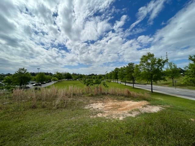 0 Lagniappe way, Tallahassee, FL en venta - Foto principal - Imagen 1 de 6