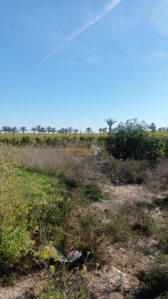 Terreno en Elche, Alicante en venta - Vista aérea - Imagen 1 de 4