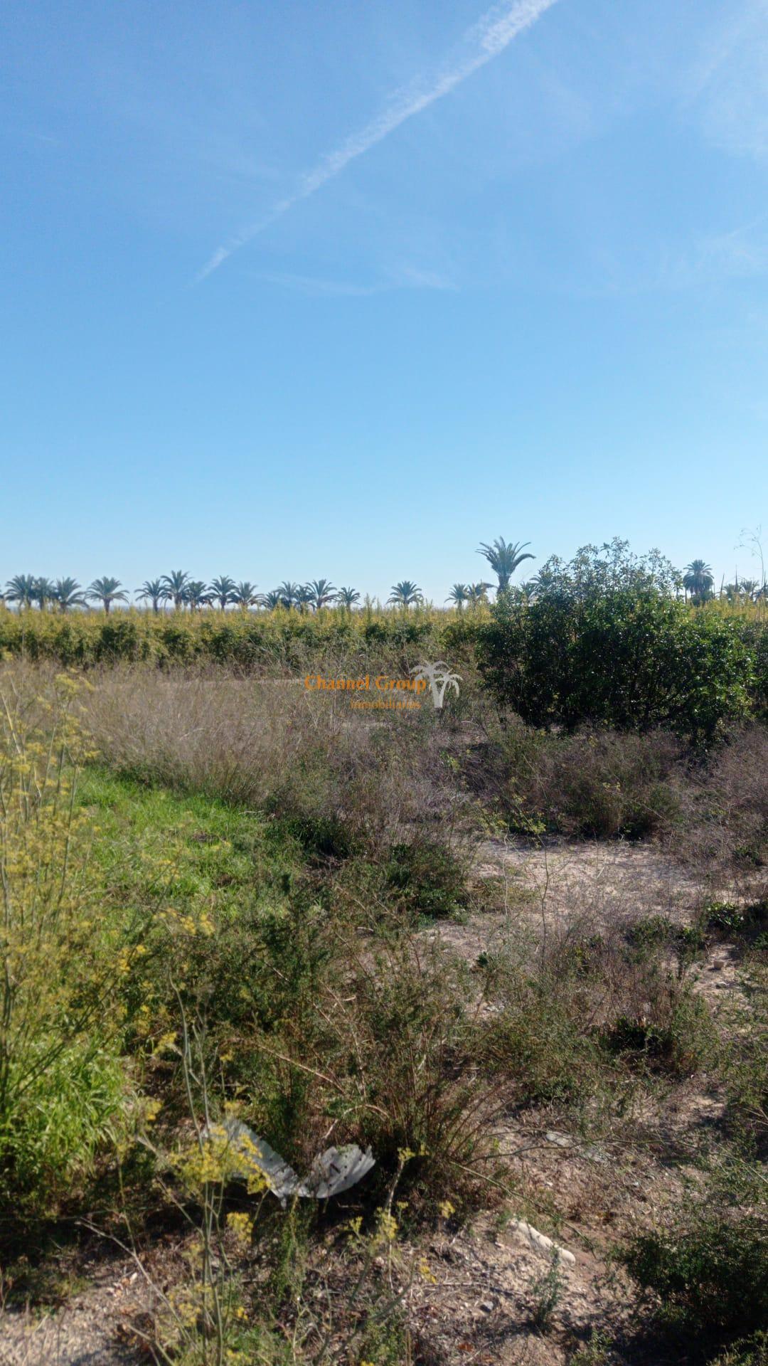 Terreno en Elche, Alicante en venta Vista aérea- Imagen 1 de 5