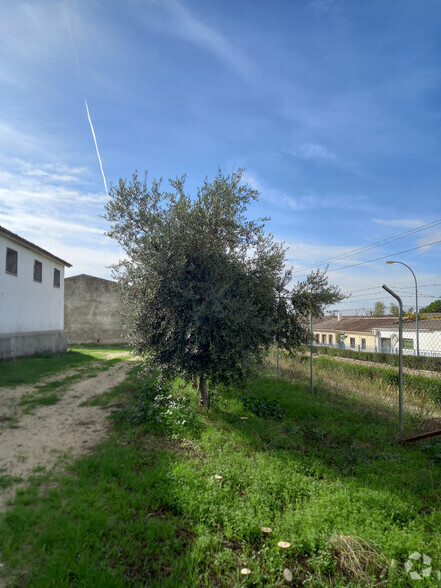 Calle Del Calvario, 2, Otero, Toledo en venta - Foto principal - Imagen 1 de 2