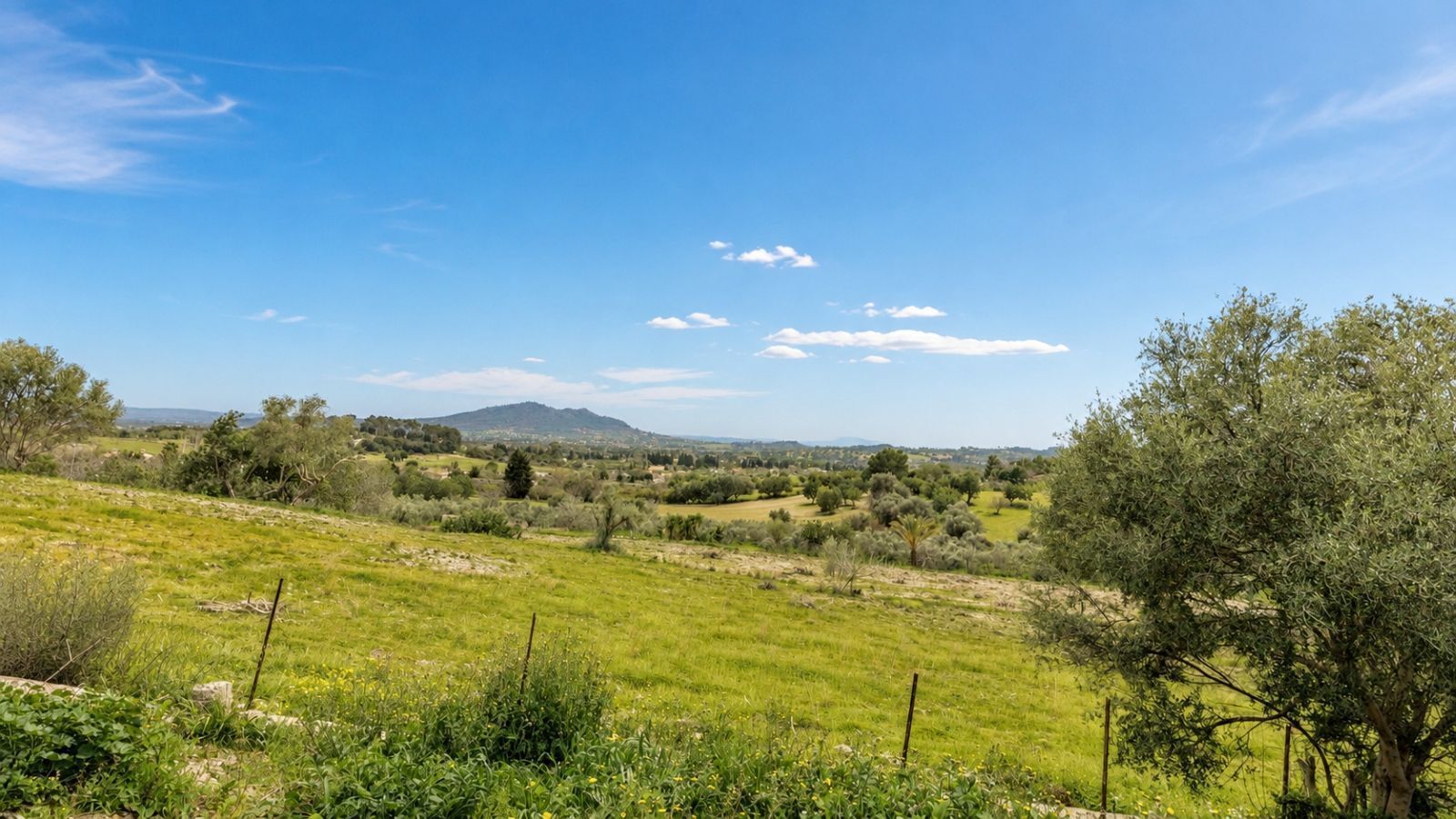 Terreno en en venta Foto del edificio- Imagen 1 de 19