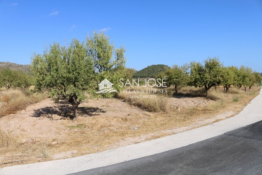 Terreno en MONÒVER, Alicante en venta - Foto principal - Imagen 3 de 14