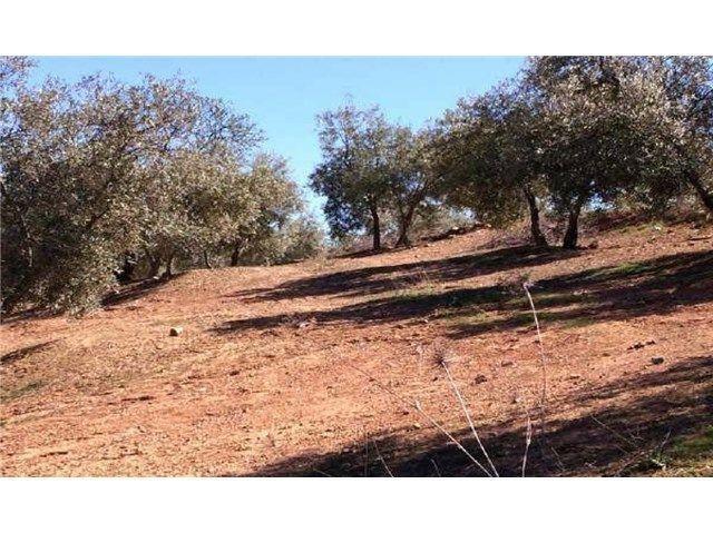 Plaza de Andalucía, 1, Loja, Granada en venta - Plano del sitio - Imagen 3 de 4