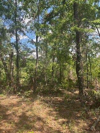 Más detalles de 0 New Bethel Church Rd, Fitzgerald, GA - Terreno en venta