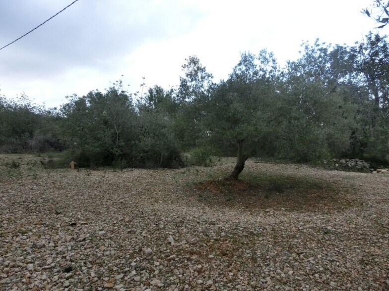 Terreno en Sant Carles de la Ràpita, Tarragona en venta - Otros - Imagen 1 de 2