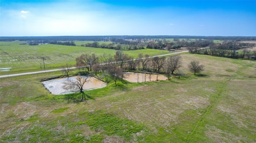 591 County Road 2376, Winnsboro, TX en venta - Foto del edificio - Imagen 2 de 23