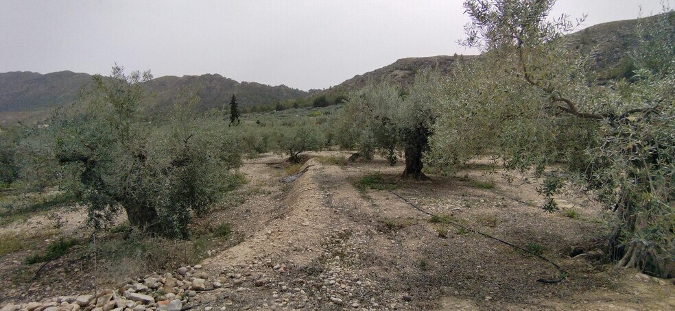 Terreno en Calasparra, Murcia en venta - Foto del edificio - Imagen 3 de 19
