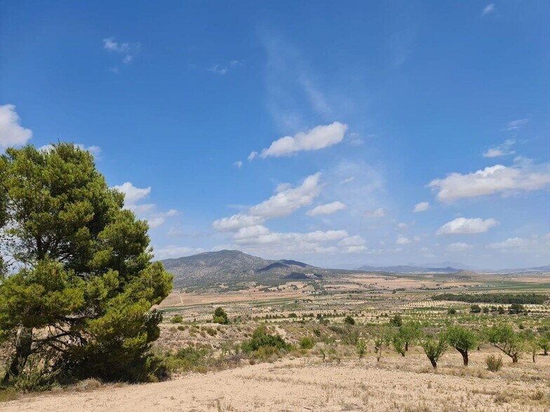 Terreno en MURCIA en venta - Vista aérea - Imagen 2 de 29