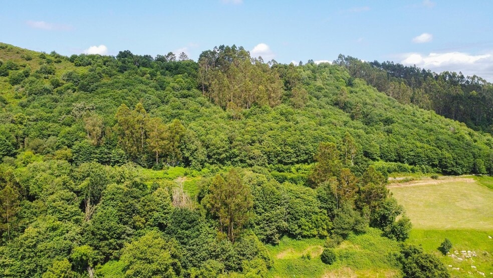 las Cuestas, Oviedo, Asturias en venta - Vista aérea - Imagen 2 de 31