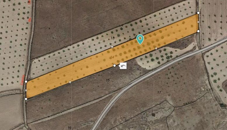 Terreno en Jumilla, Murcia en venta - Plano del sitio - Imagen 3 de 9