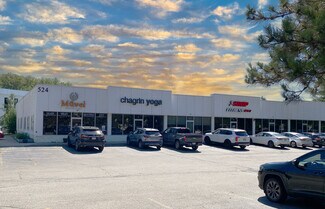 Más detalles de 524 E Washington St, Chagrin Falls, OH - Local en venta