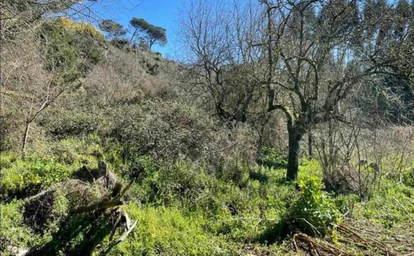 Camiño Franciscanos, Ourense, Orense en venta Foto del edificio- Imagen 1 de 8