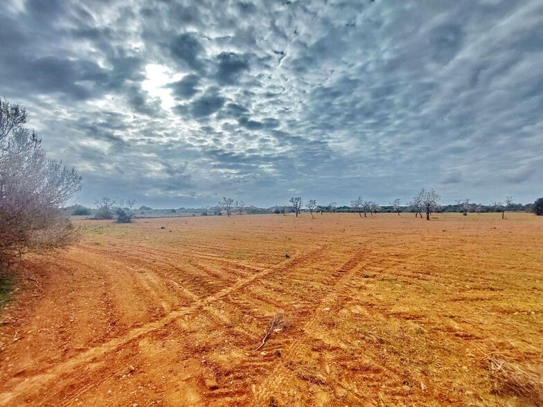 Terreno en Campos, Islas Baleares en venta - Vista aérea - Imagen 1 de 6
