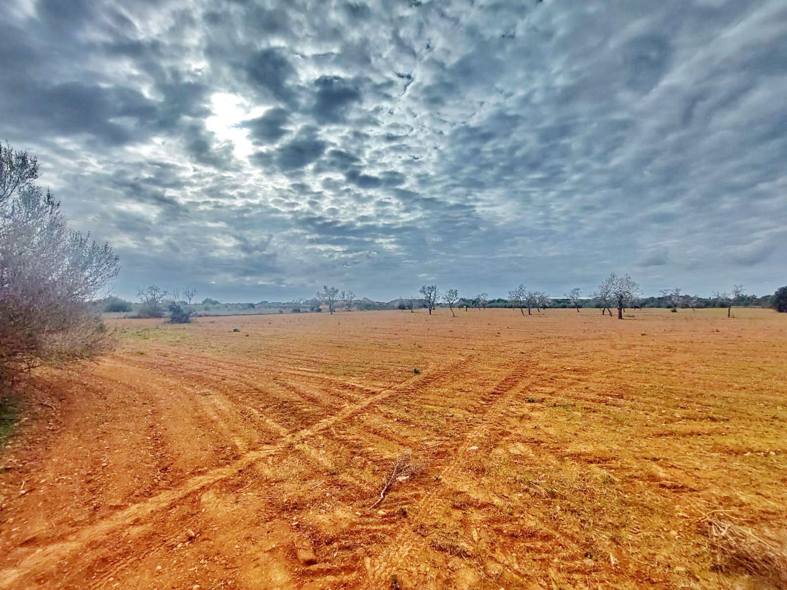 Terreno en Campos, Islas Baleares en venta Vista aérea- Imagen 1 de 7