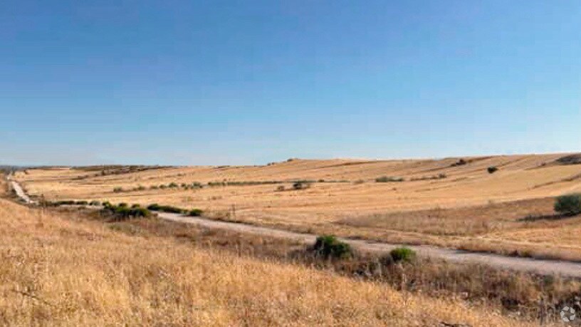 Polígono 10, Parcela 178, Paracuellos de Jarama, Madrid en venta Foto principal- Imagen 1 de 1