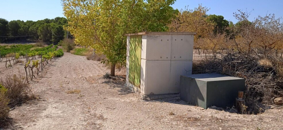 Terreno en PINOSO, Alicante en venta - Foto principal - Imagen 2 de 10