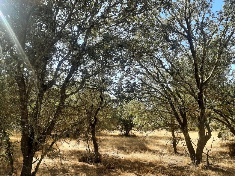 Terreno en Torreorgaz, Cáceres en venta - Foto del edificio - Imagen 2 de 6