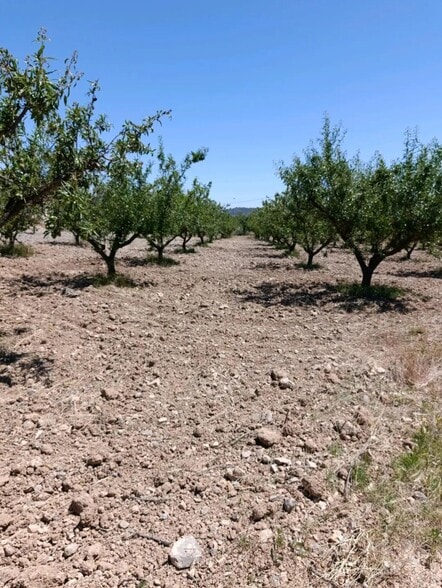 Terreno en Cehegín, Murcia en venta - Foto del edificio - Imagen 3 de 12