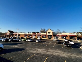 Más detalles para 210-240 Peterson Rd, Libertyville, IL - Locales en alquiler