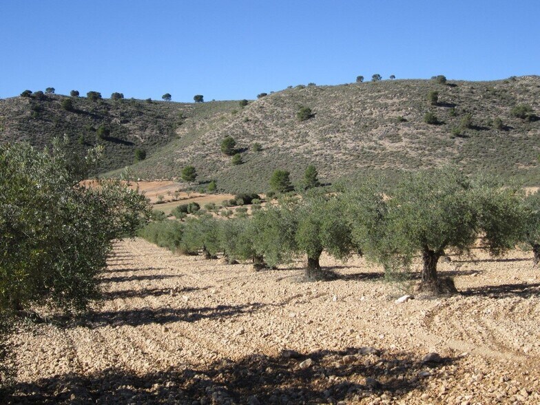 Terreno en MURCIA en venta - Foto del edificio - Imagen 2 de 5