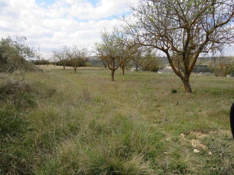 Terreno en Ontinyent, Valencia en venta - Foto principal - Imagen 2 de 9