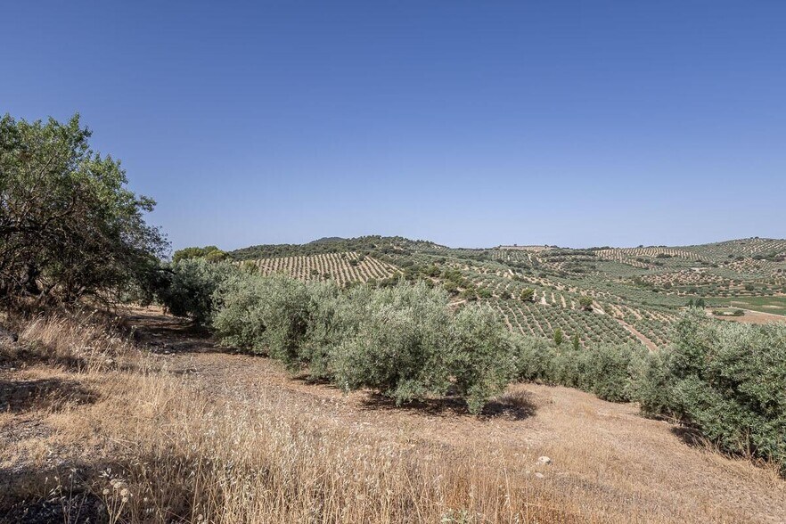 Terreno en Montefrío, Granada en venta - Vista aérea - Imagen 1 de 16