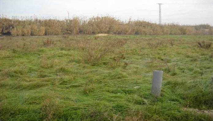 Terreno en Bell-lloc d'Urgell, Lérida en venta - Foto principal - Imagen 3 de 3