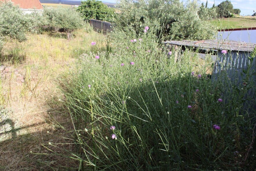 Terreno en Sierra de Fuentes, Cáceres en venta - Foto principal - Imagen 2 de 9