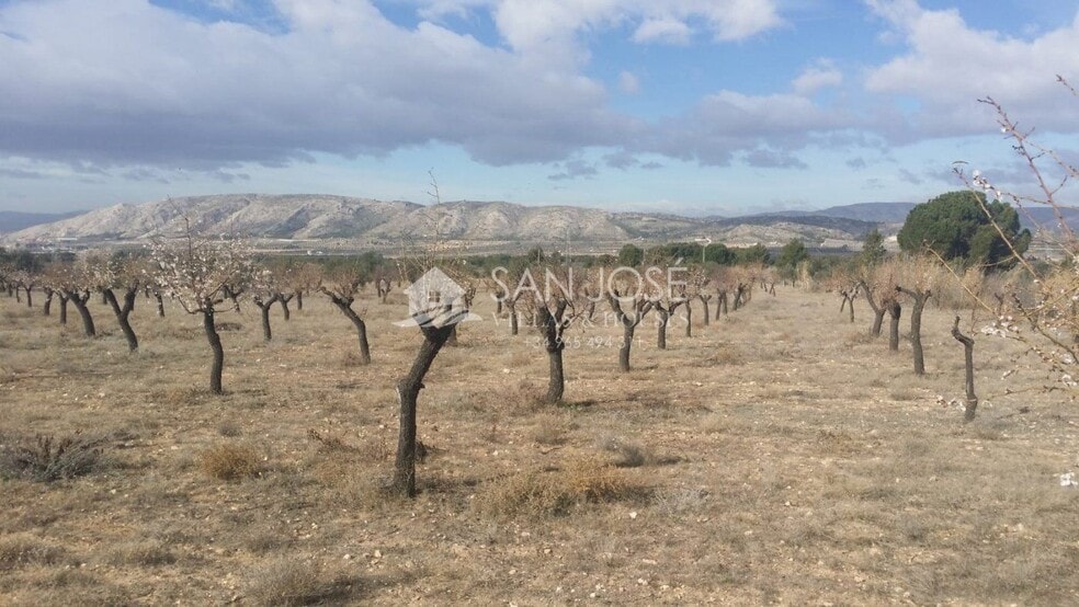 Terreno en Biar en venta - Foto del edificio - Imagen 3 de 6