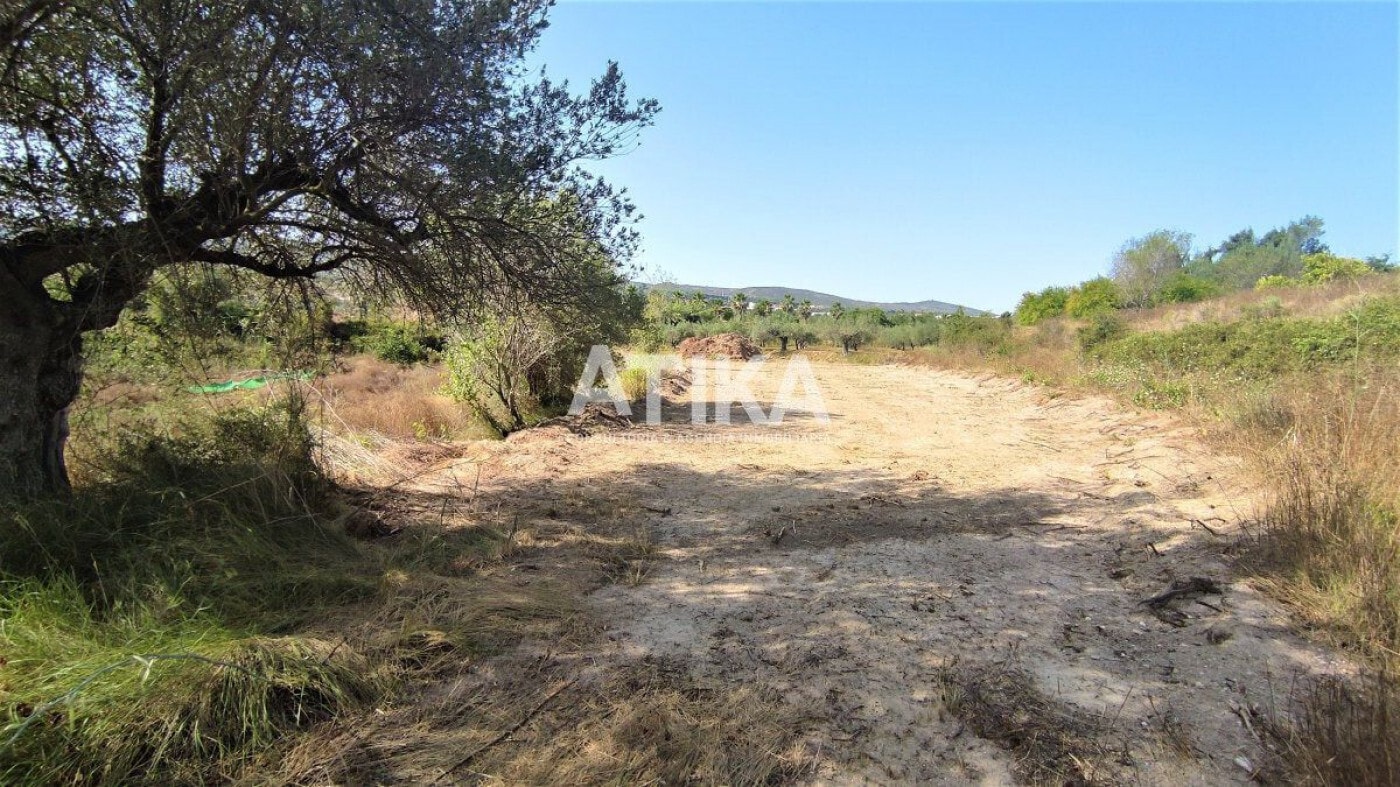 Terreno en Agullent, Valencia en alquiler Plano del sitio- Imagen 1 de 8