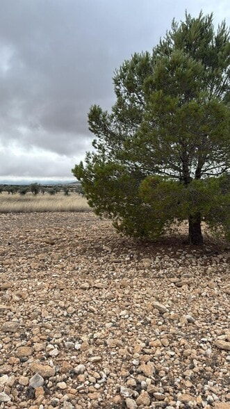 Terreno en Yecla, Murcia en venta - Plano del sitio - Imagen 3 de 7