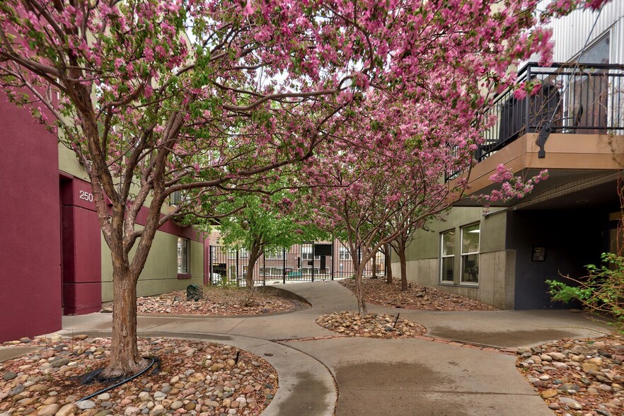 2501 15th St, Denver, CO en alquiler - Foto del edificio - Imagen 3 de 44