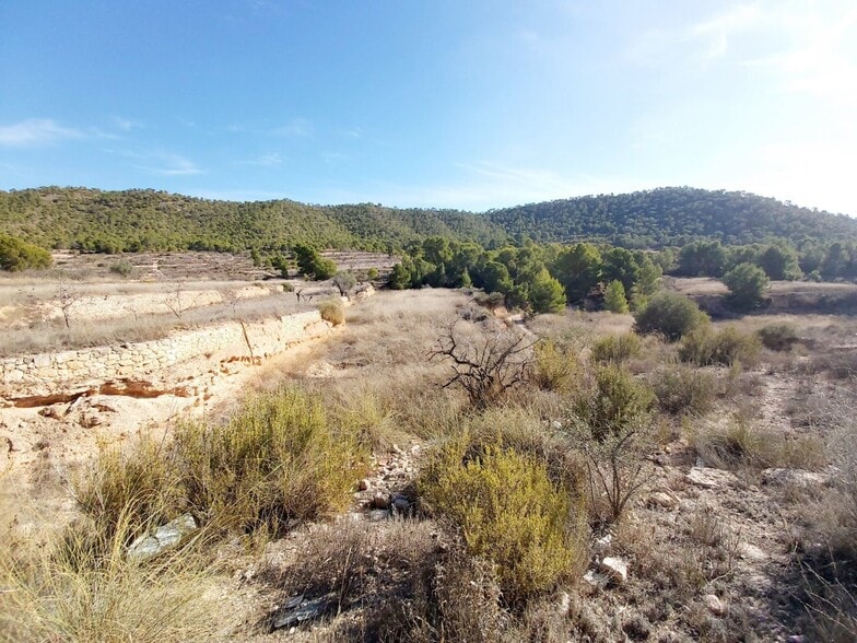 Terreno en La Romana, Alicante en venta - Vista aérea - Imagen 3 de 3