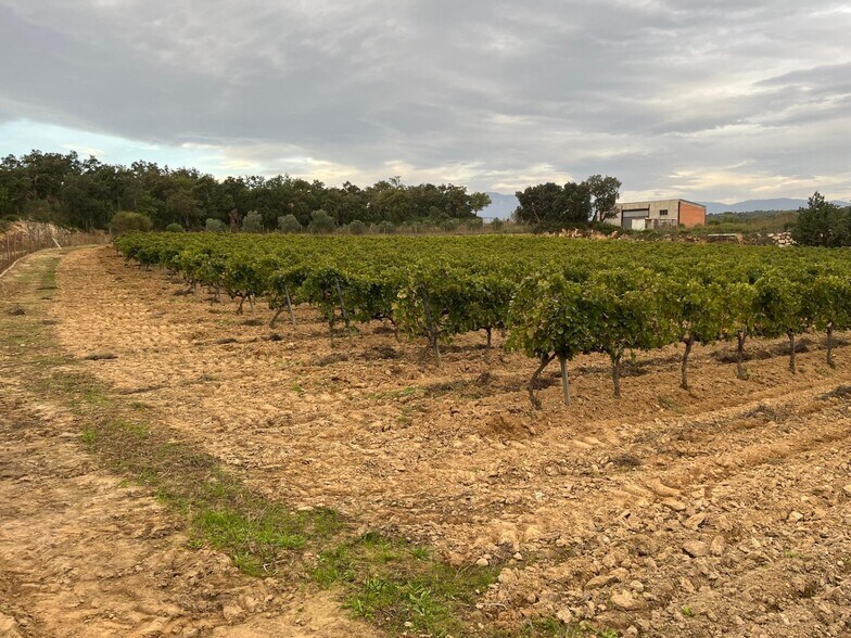 Carrer De La Roca, 20, Capmany, Gerona en venta - Foto del edificio - Imagen 3 de 7